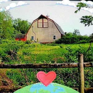 Meet your Posher, Cecelia